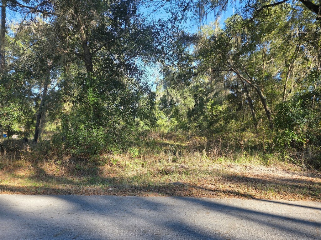 TBD NW 120th Ave Ocala FL 34482 OM715012 image2