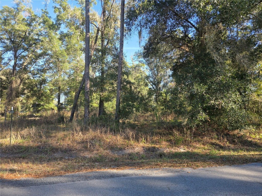 TBD NW 120th Ave Ocala FL 34482 OM715012 image3