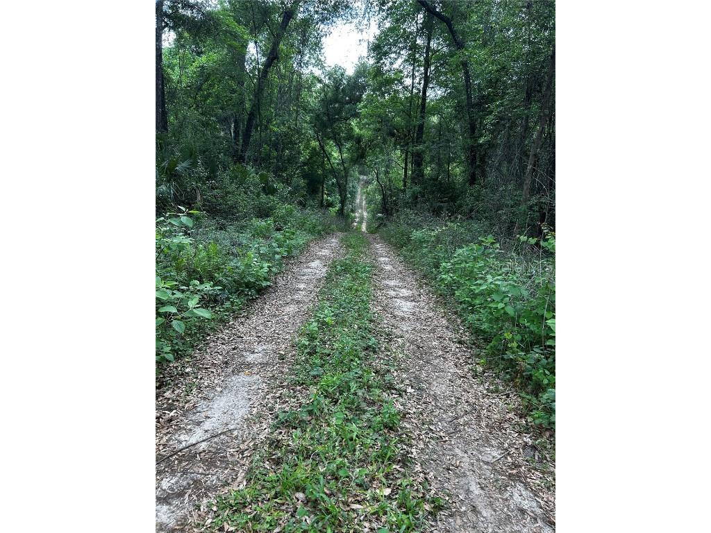 TBD NW 123rd Place Citra FL 32113 OM699883 image2