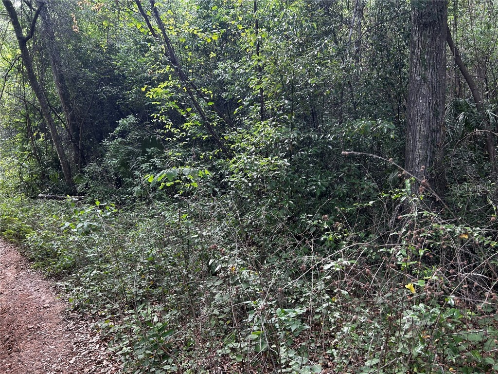 TBD NW 123rd Place Citra FL 32113 OM699883 image3