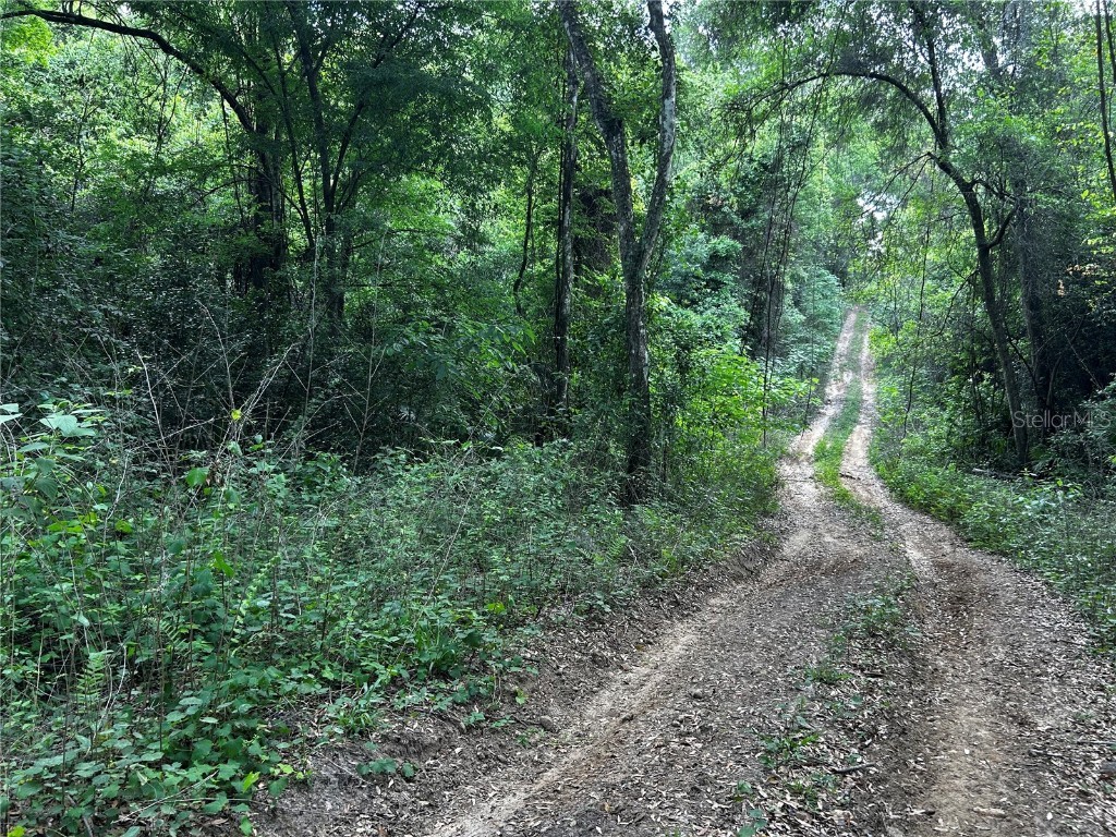 TBD NW 123rd Place Citra FL 32113 OM699883 image4