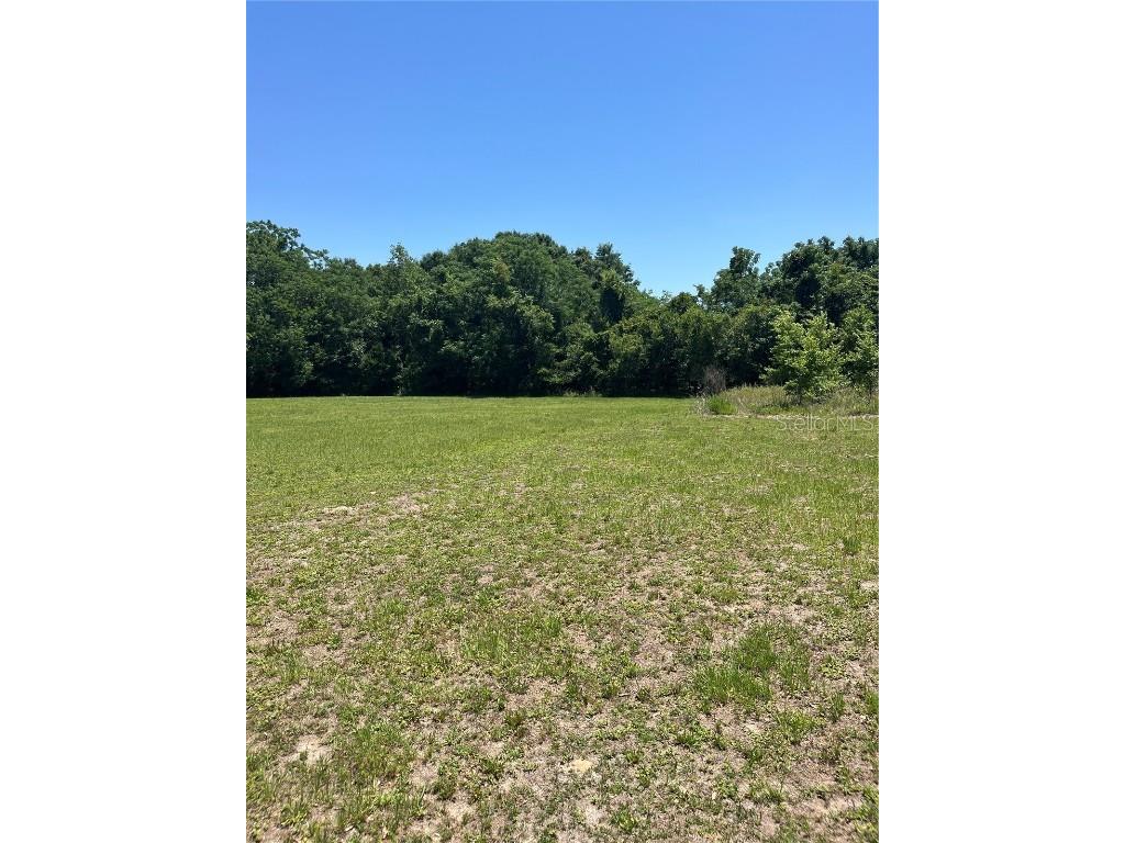 TBD NW 125 Lane Citra FL 32113 OM702035 image1