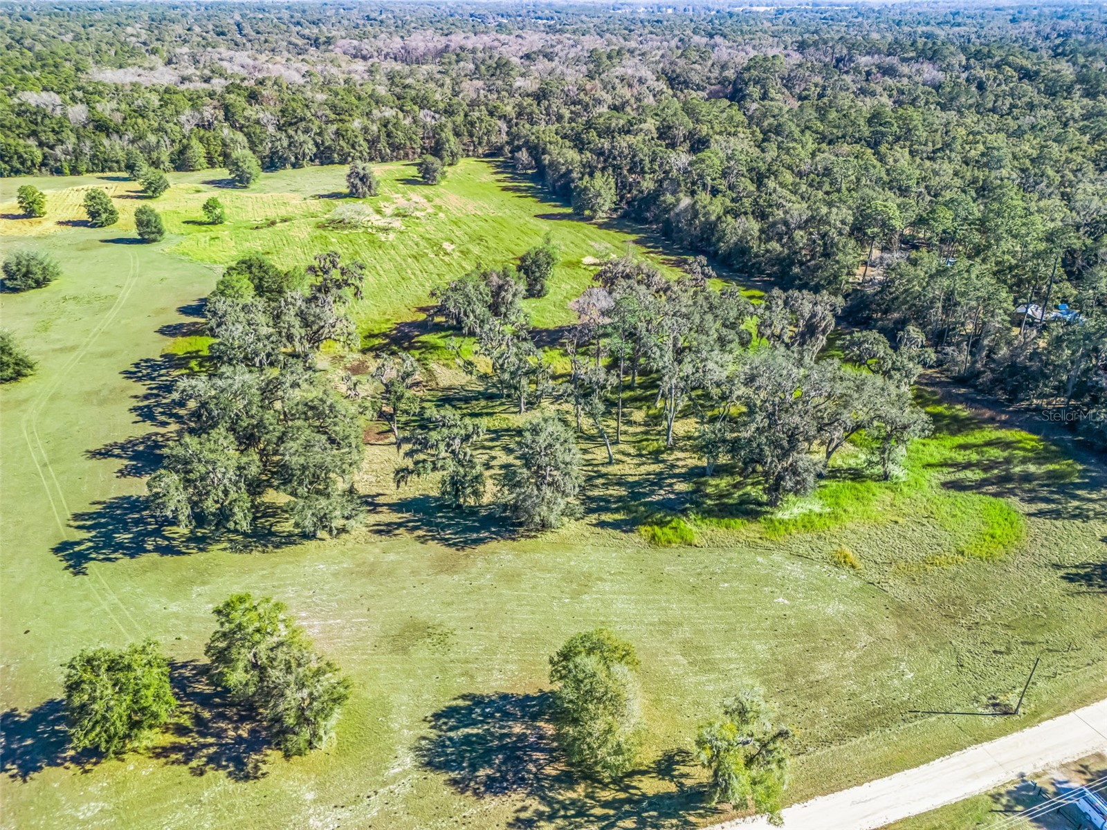 TBD NW 127 Court Ocala FL 34482 OM716634 image10