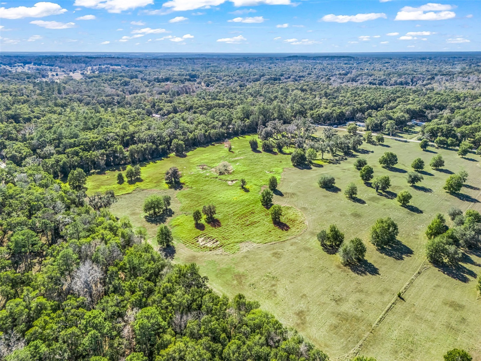 TBD NW 127 Court Ocala FL 34482 OM716634 image11