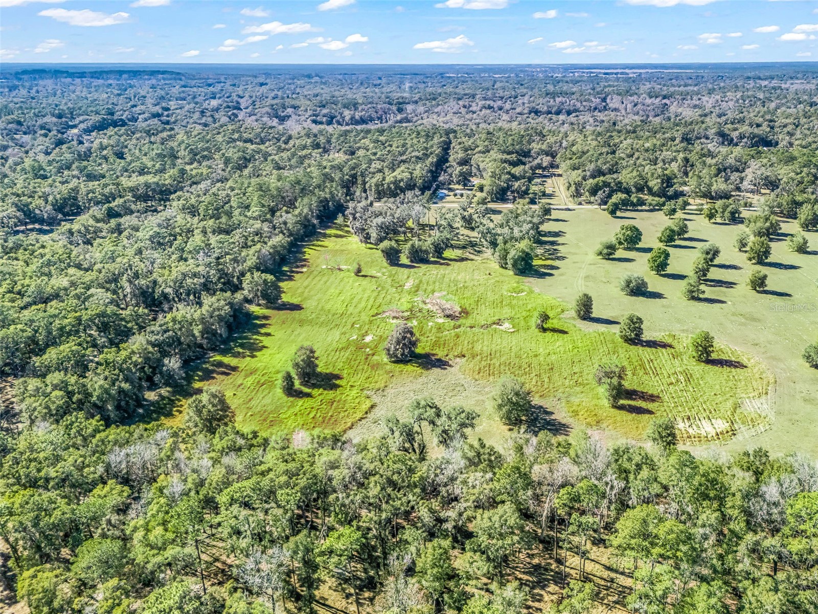 TBD NW 127 Court Ocala FL 34482 OM716634 image12