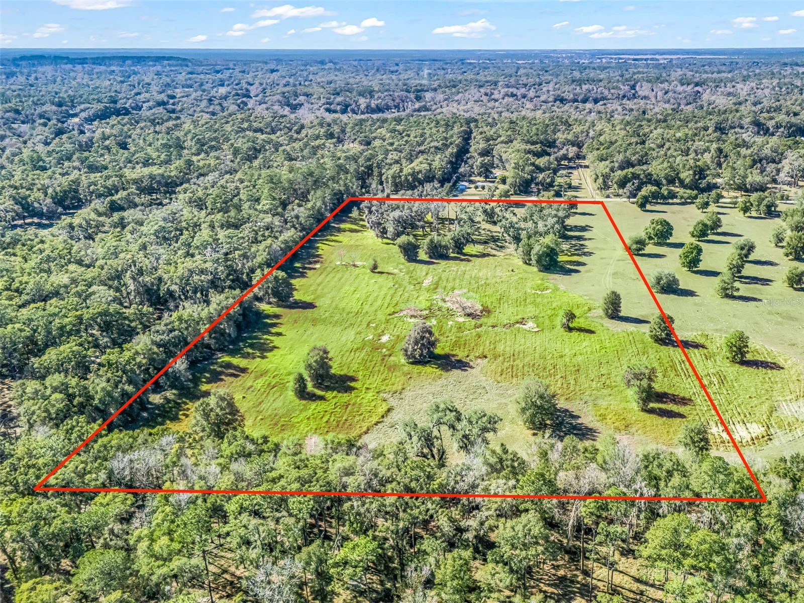 TBD NW 127 Court Ocala FL 34482 OM716634 image13