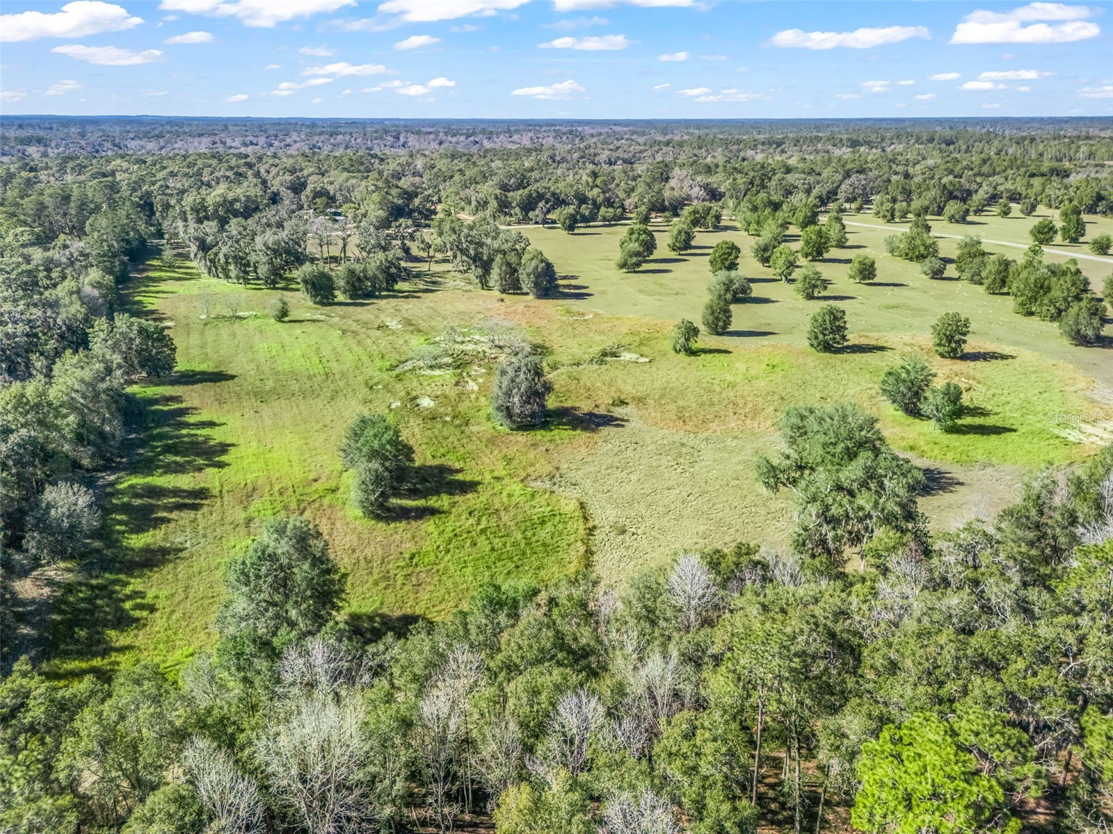 TBD NW 127 Court Ocala FL 34482 OM716634 image14