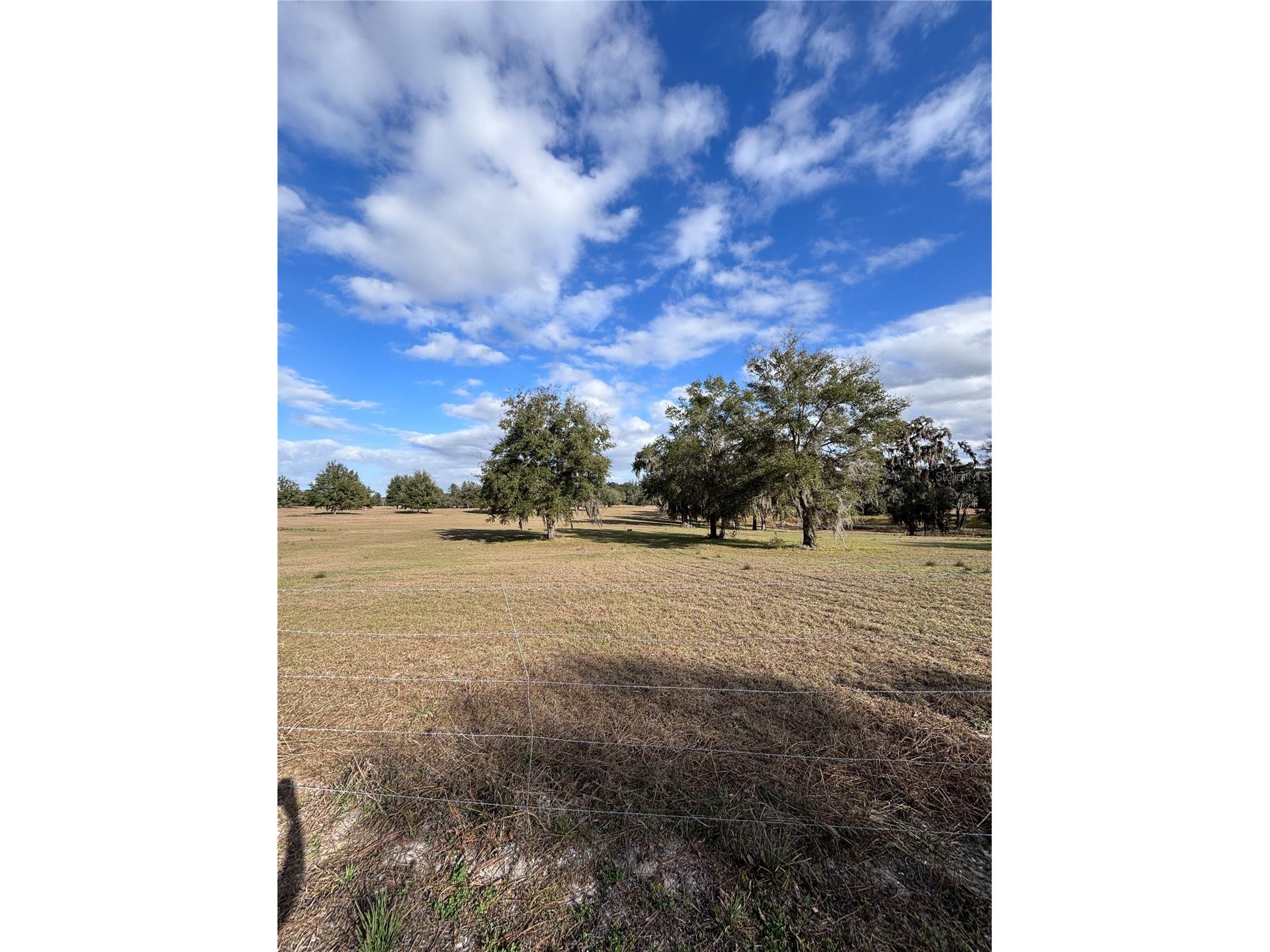 TBD NW 127 Court Ocala FL 34482 OM716634 image15