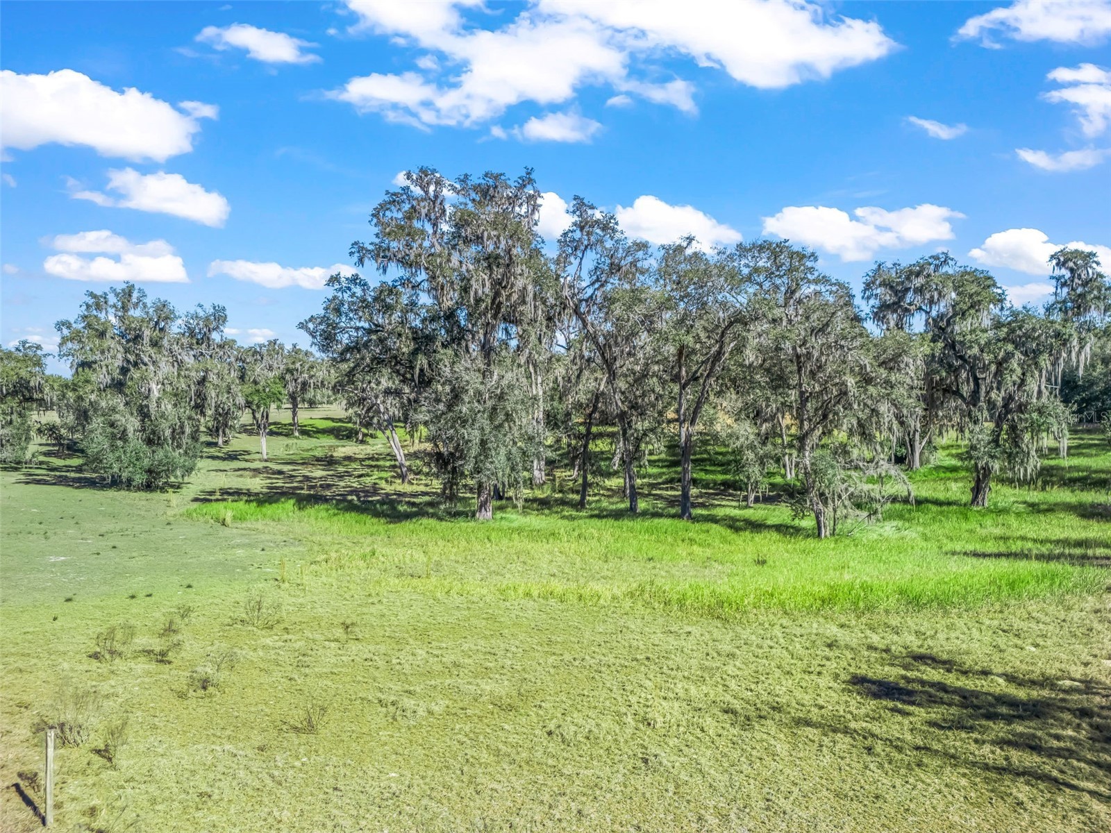 TBD NW 127 Court Ocala FL 34482 OM716634 image16