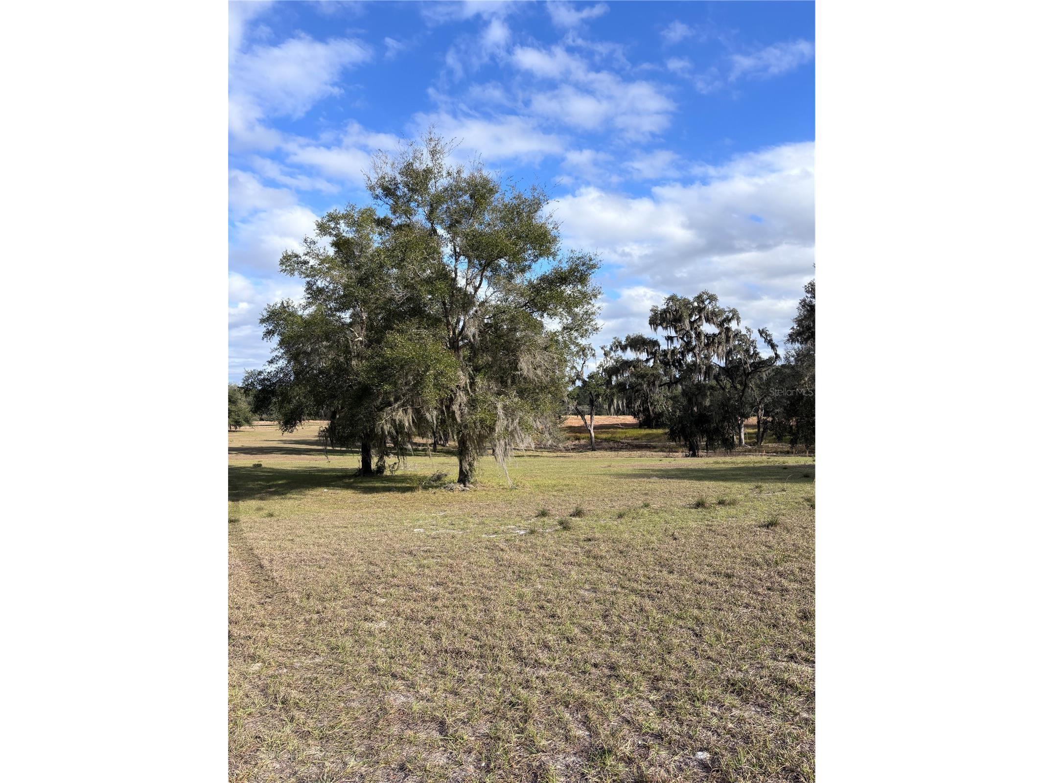 TBD NW 127 Court Ocala FL 34482 OM716634 image4
