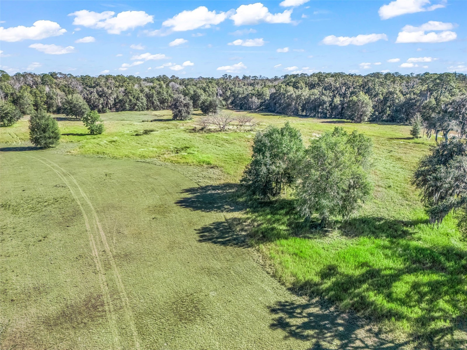 TBD NW 127 Court Ocala FL 34482 OM716634 image8