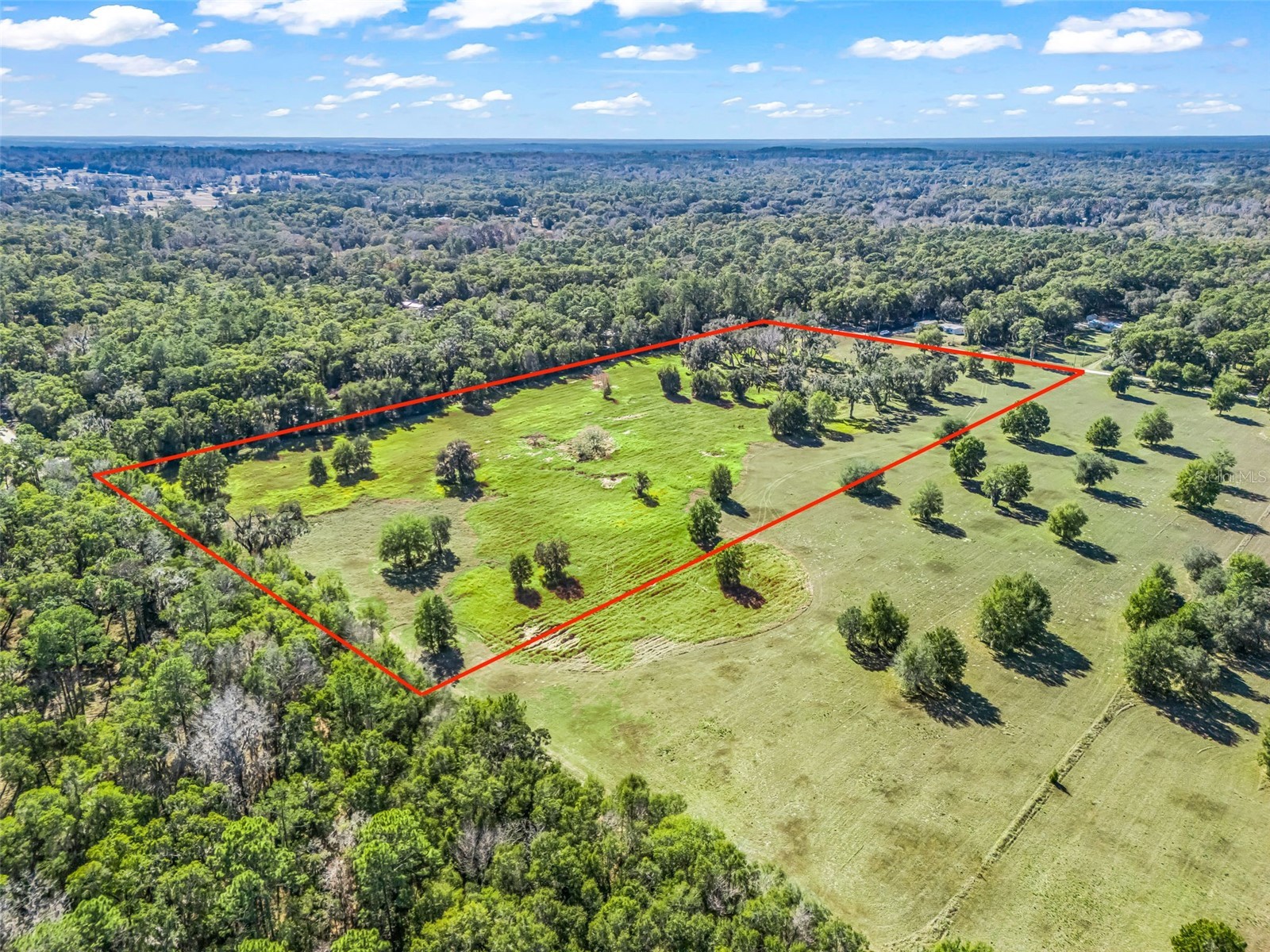 TBD NW 127 Court Ocala FL 34482 OM716634 image9