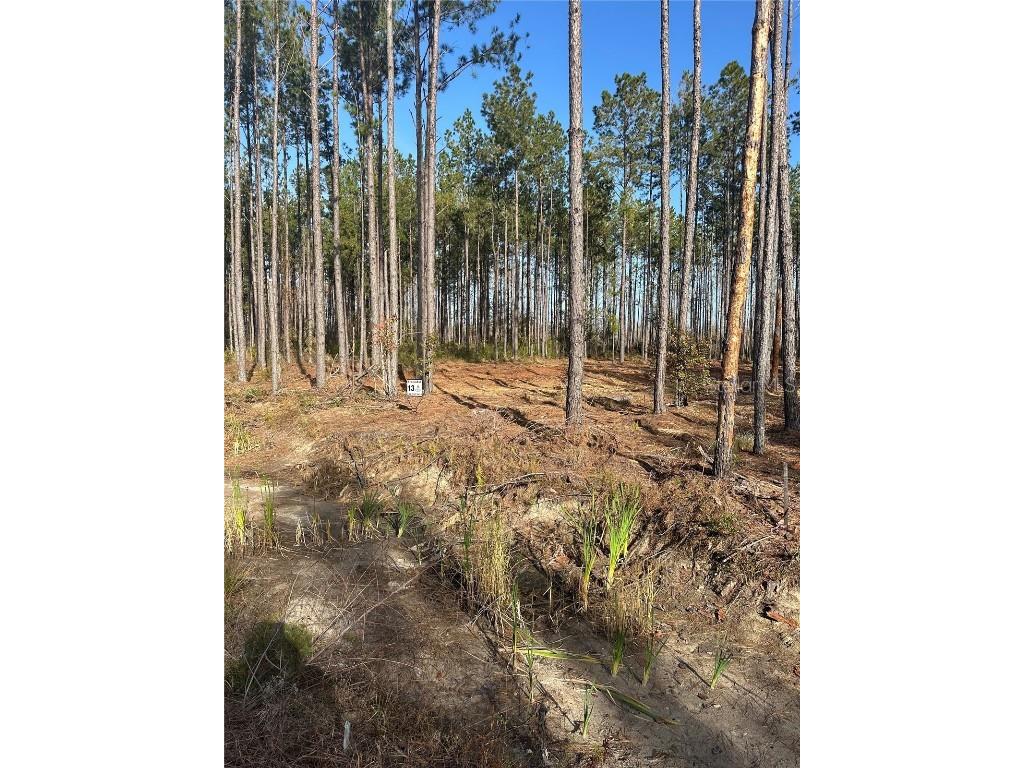 TBD NW 133rd Path Lake Butler FL 32054 A4613068 image2