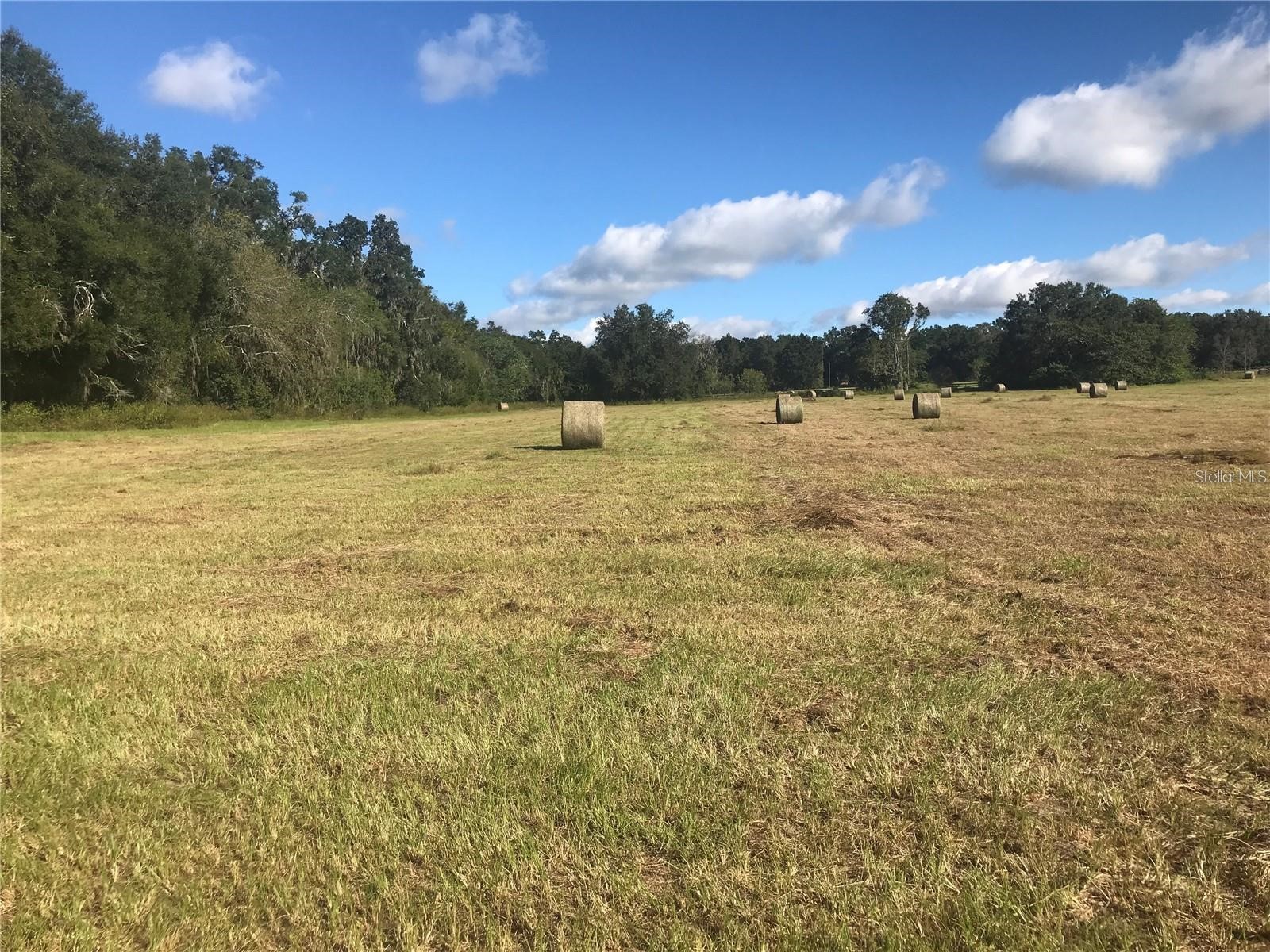TBD NW 133rd Reddick FL 32686 OM722508 image1