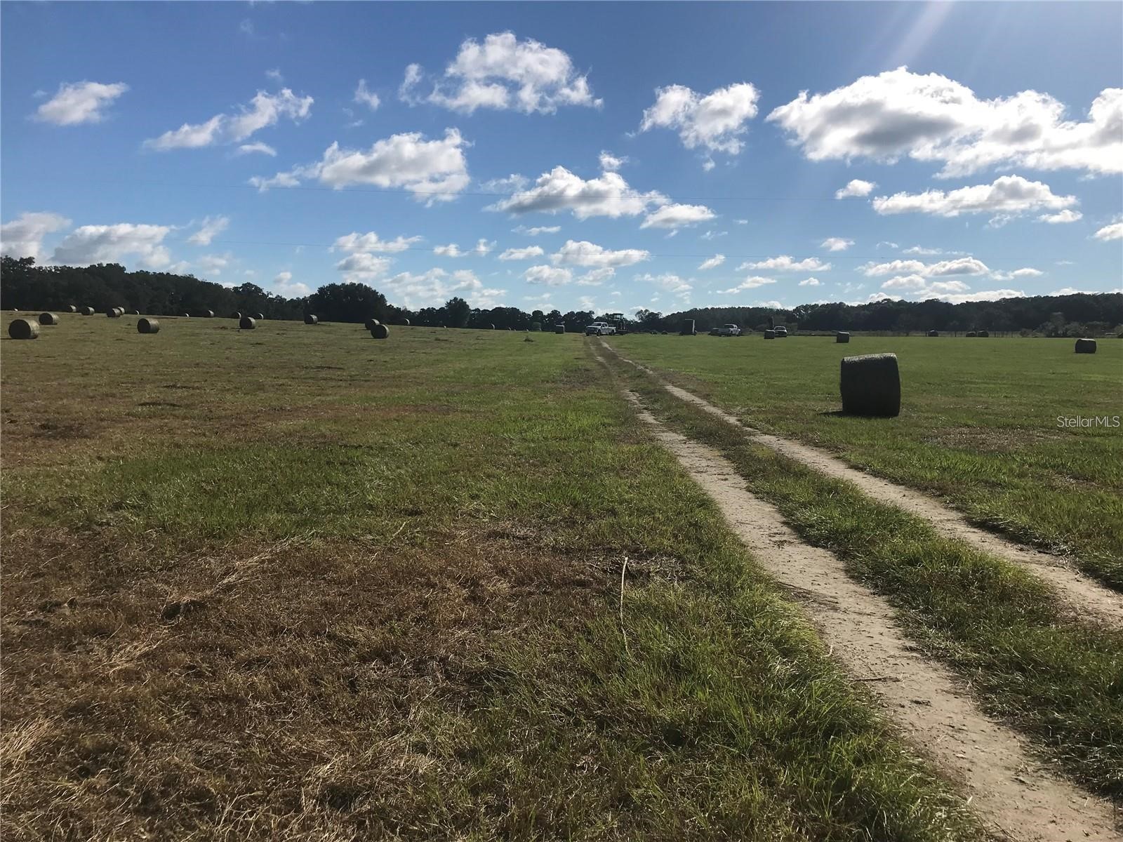 TBD NW 133rd Reddick FL 32686 OM722508 image2