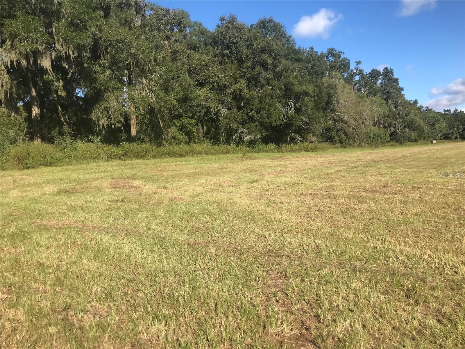 TBD NW 133rd Reddick FL 32686 OM722508 image3