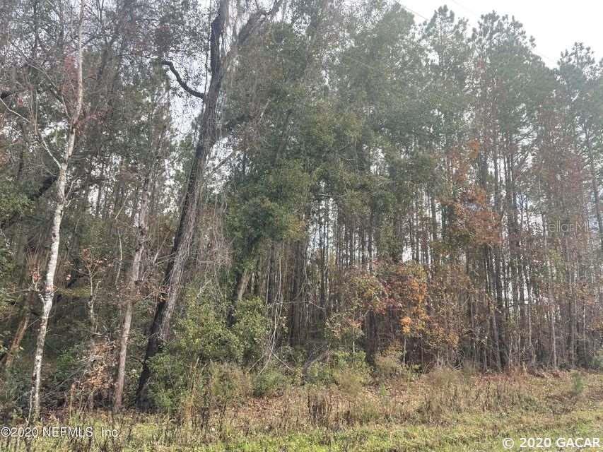 TBD NW 137th St Lake Butler FL 32054 GC440365 image2