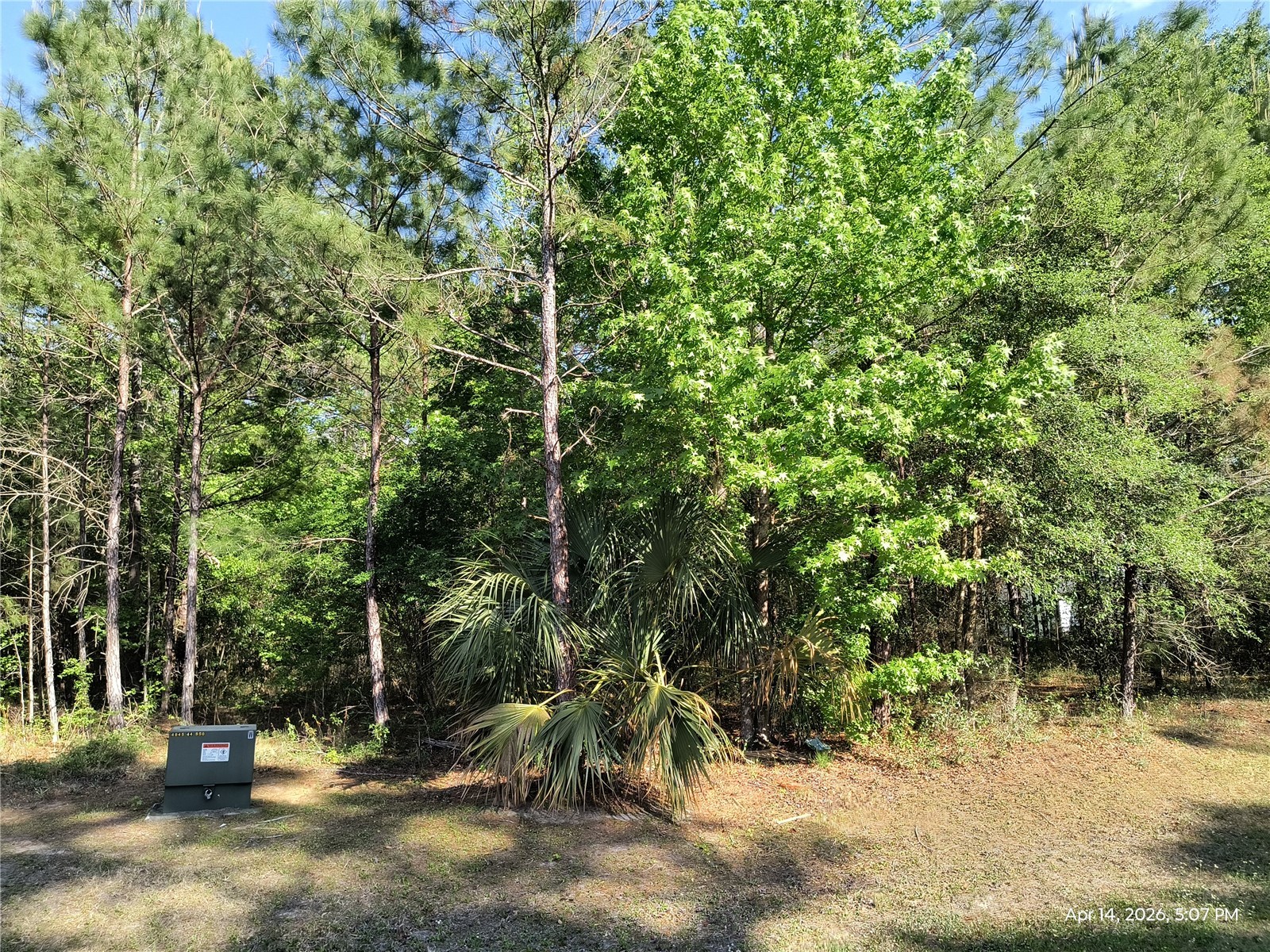 TBD NW 141st Avenue Williston FL 32696 OM723999 image1
