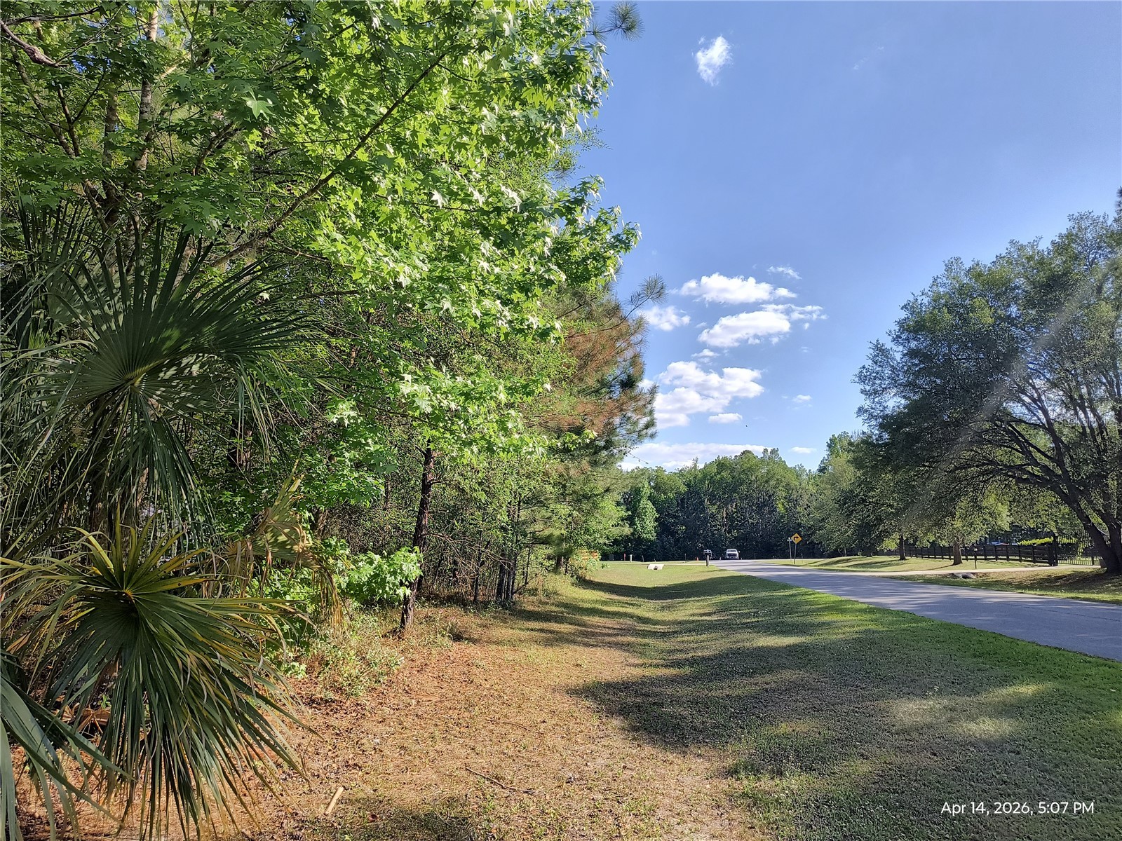 TBD NW 141st Avenue Williston FL 32696 OM723999 image3