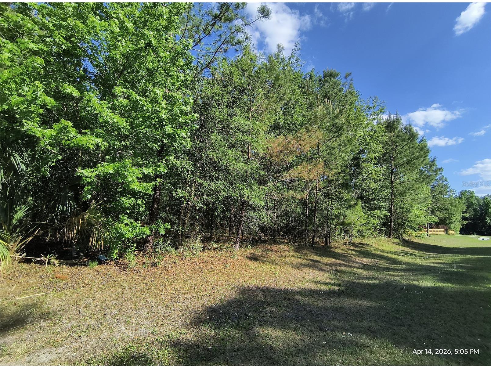TBD NW 141st Avenue Williston FL 32696 OM723999 image4