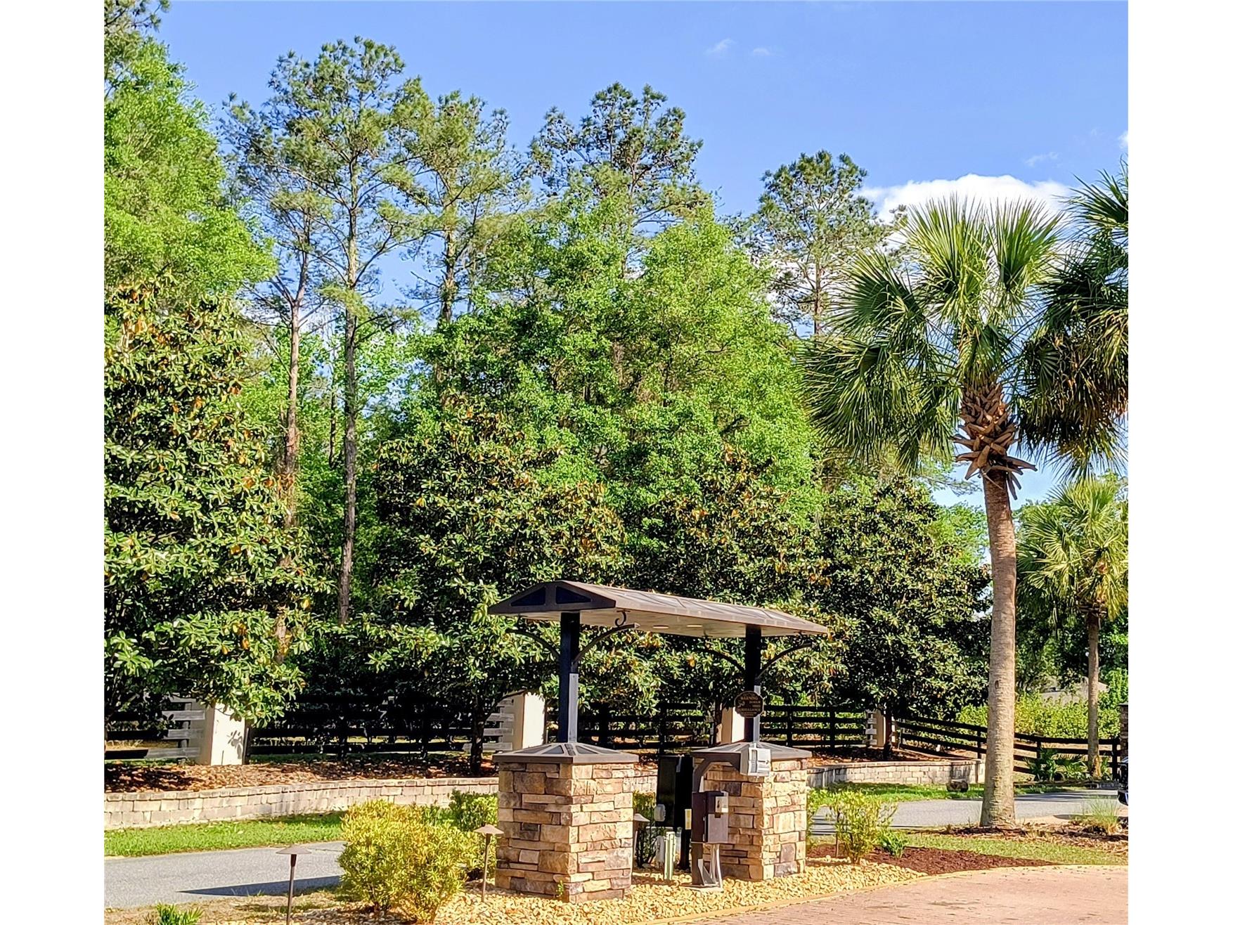 TBD NW 141st Avenue Williston FL 32696 OM723999 image7