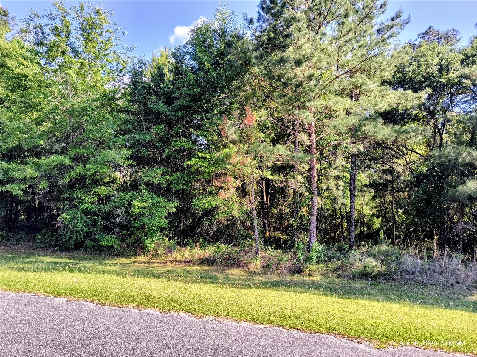 TBD NW 142nd Street Williston FL 32696 OM723965 image2