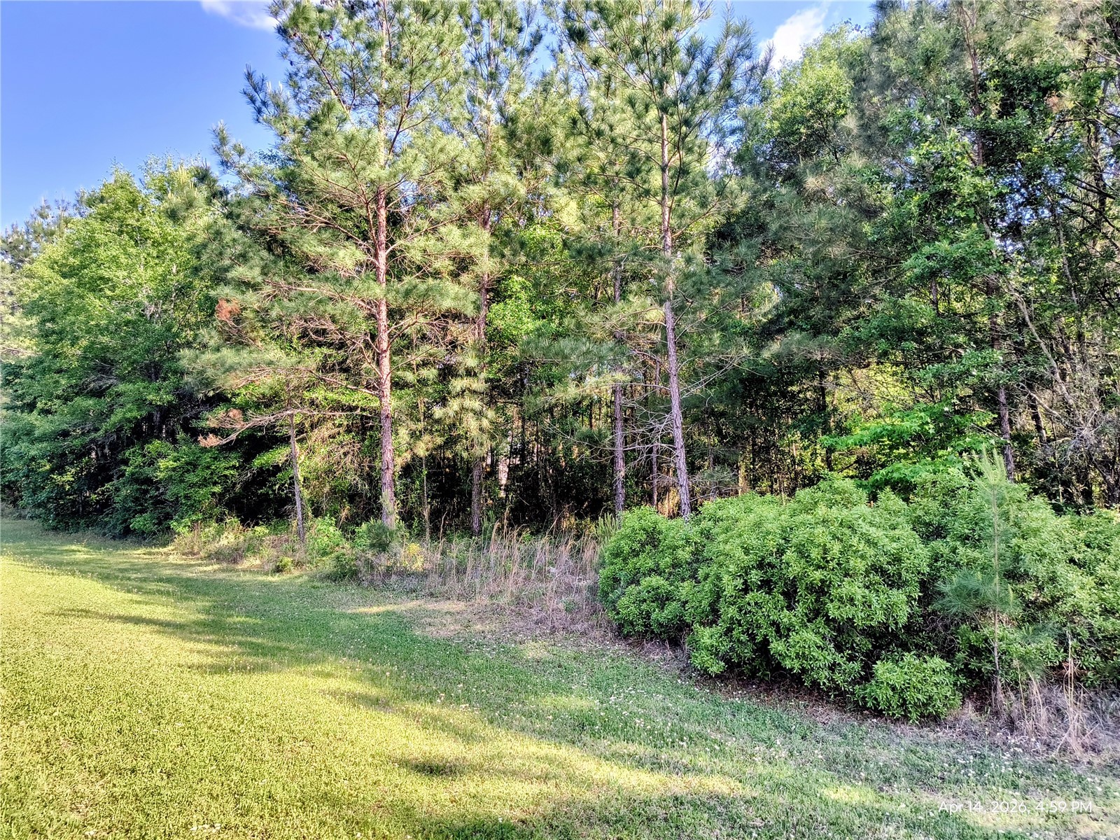 TBD NW 142nd Street Williston FL 32696 OM723965 image4