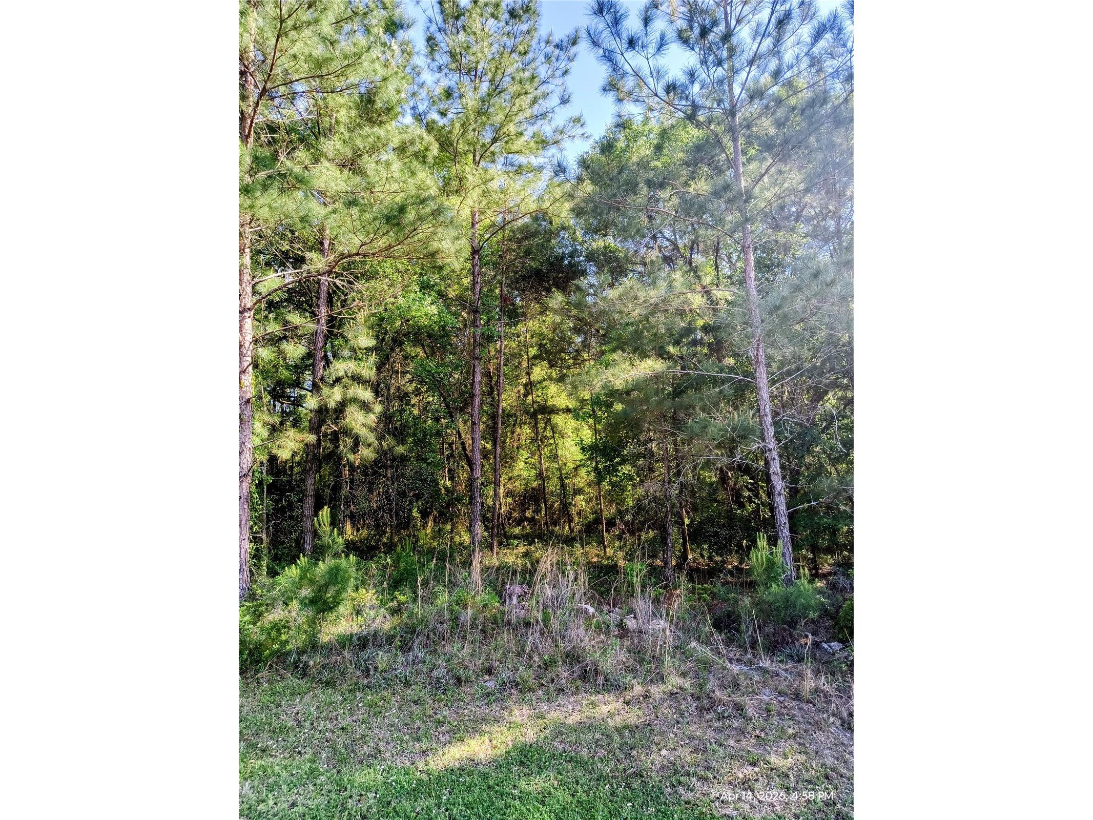 TBD NW 142nd Street Williston FL 32696 OM723965 image5
