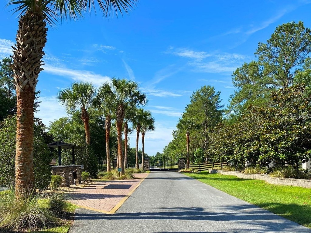 TBD NW 145 Avenue Williston FL 32696 OM673122 image1