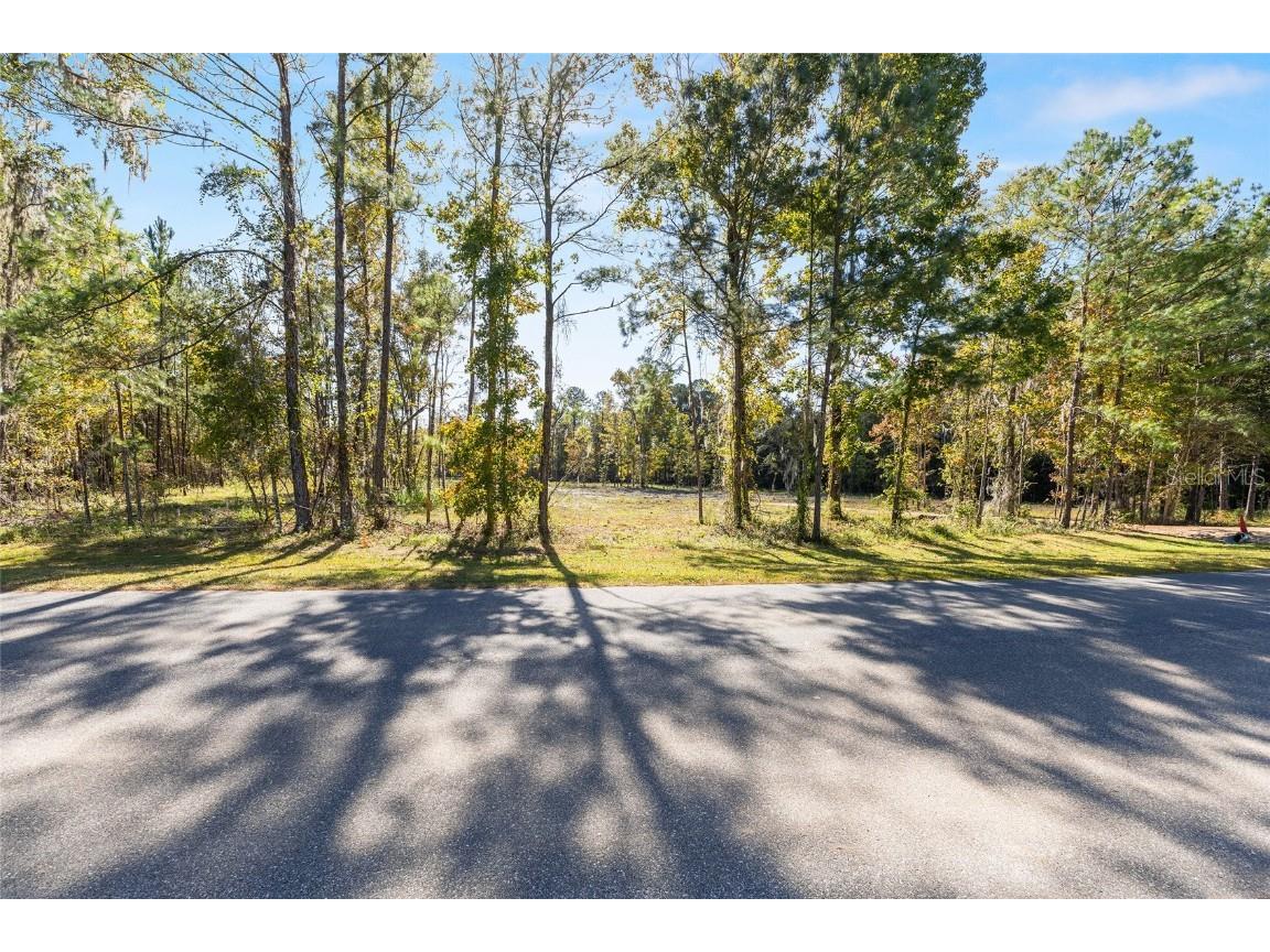 TBD NW 145 Street Williston FL 32696 OM713038 image3