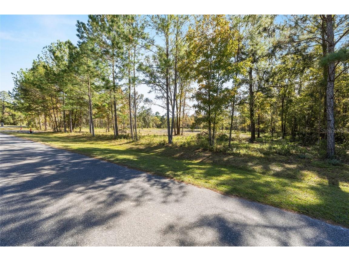 TBD NW 145 Street Williston FL 32696 OM713038 image6