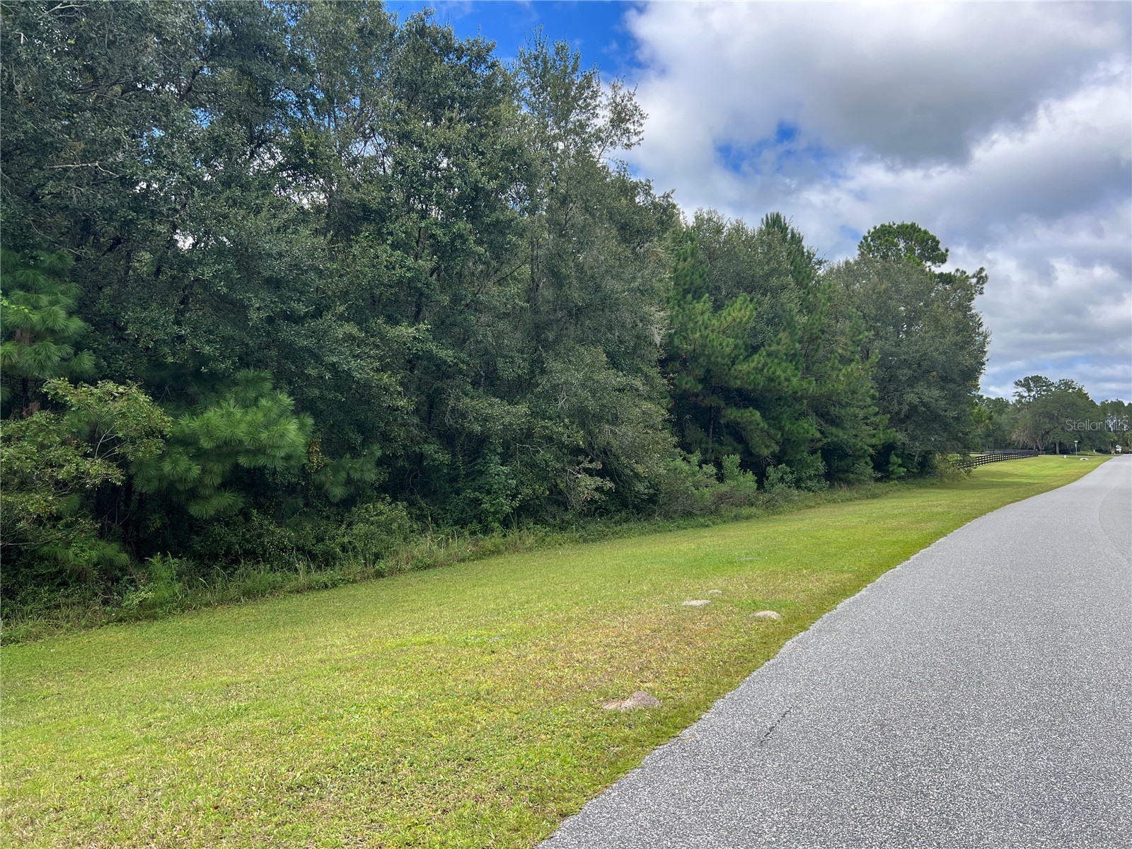 TBD NW 145th Avenue Williston FL 32696 OM711062 image4