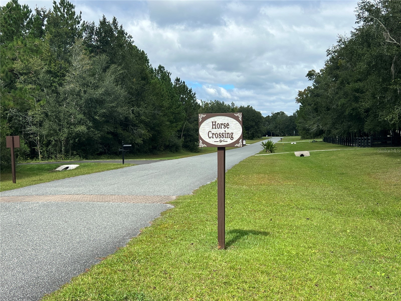 TBD NW 145th Avenue Williston FL 32696 OM711062 image5