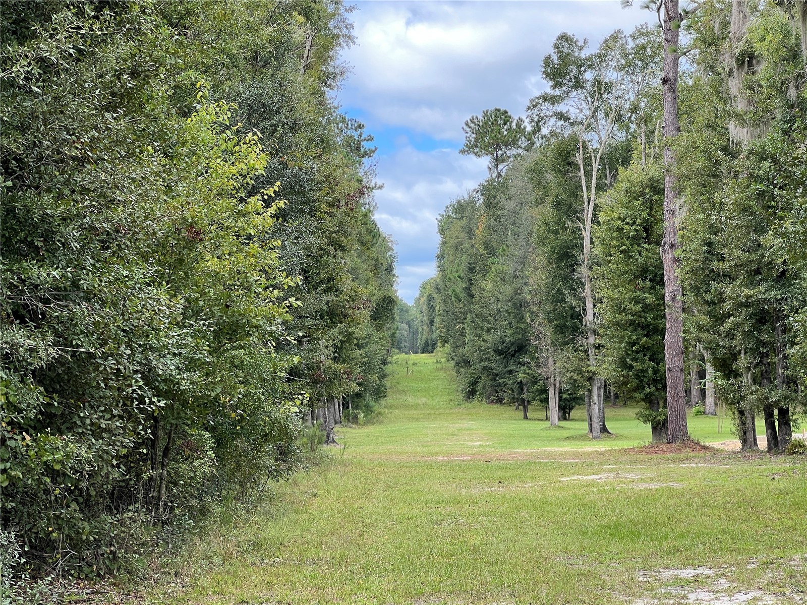 TBD NW 145th Avenue Williston FL 32696 OM711062 image6