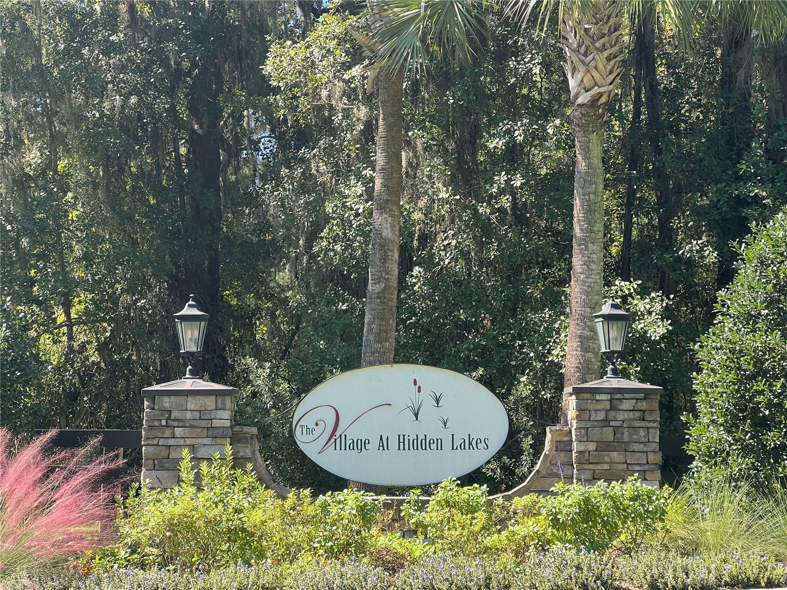 TBD NW 145th Avenue Williston FL 32696 OM711062 image7