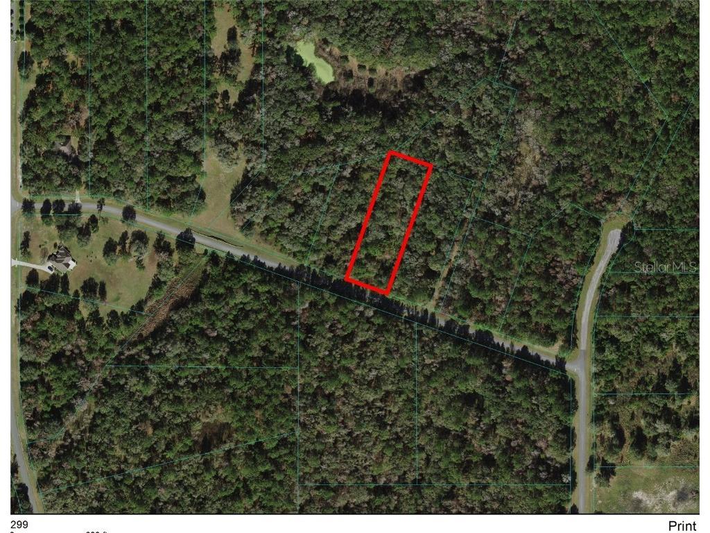 TBD NW 148th Lane Williston FL 32696 OM636218 image1