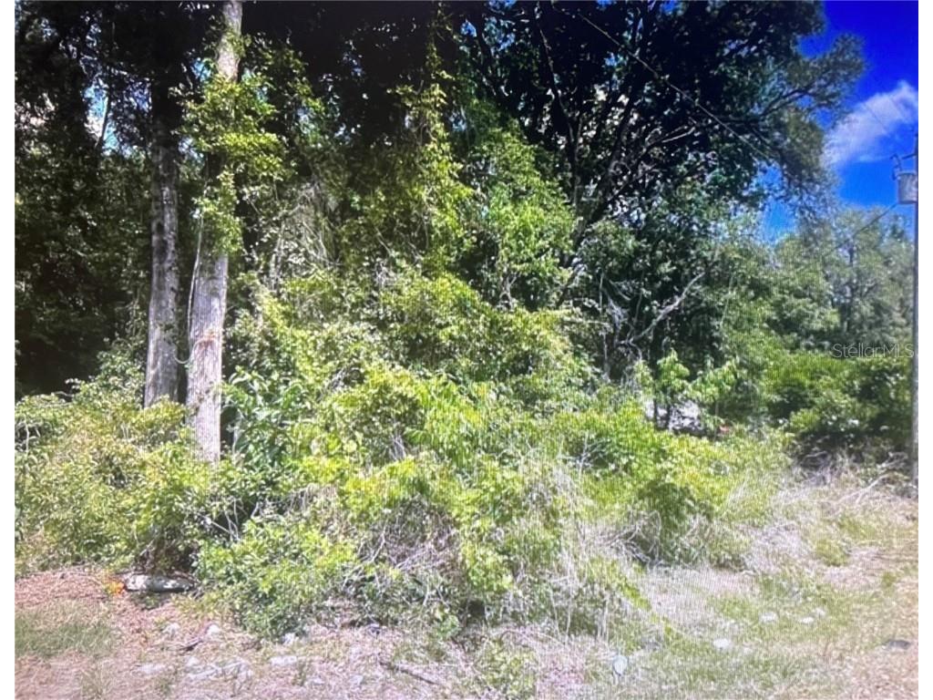 TBD NW 15 Street Ocala FL 34482 S5086494 image1