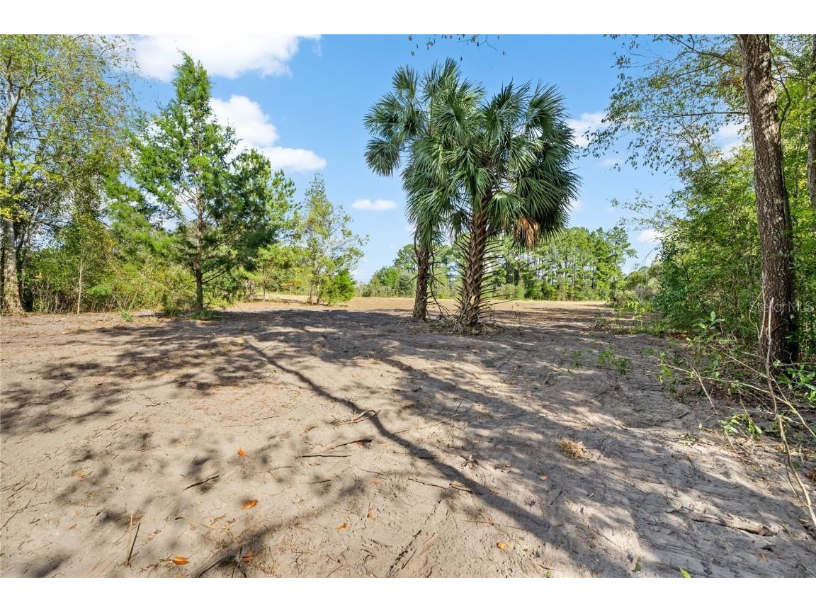 TBD NW 150th Boulevard Newberry FL 32669 GC521451 image4