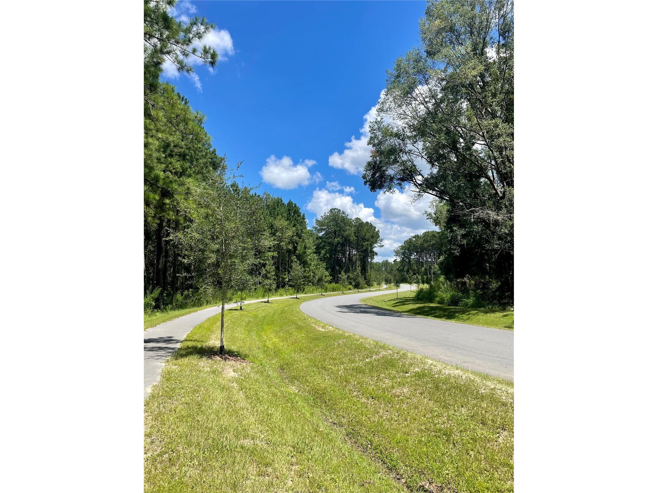TBD NW 150th Boulevard Newberry FL 32669 GC540491 image18