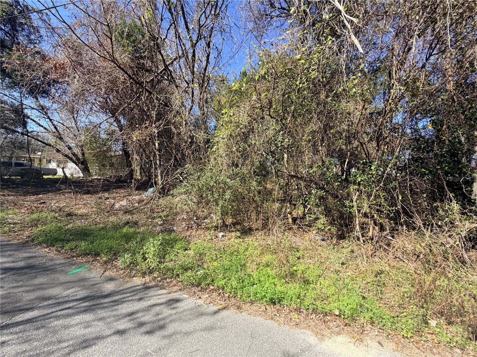 TBD NW 151st Avenue Alachua FL 32615 GC537831 image1