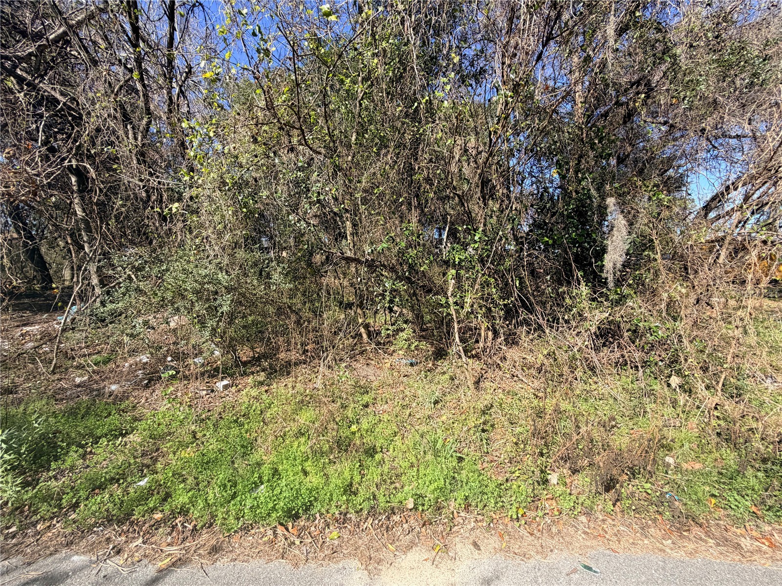 TBD NW 151st Avenue Alachua FL 32615 GC537831 image3