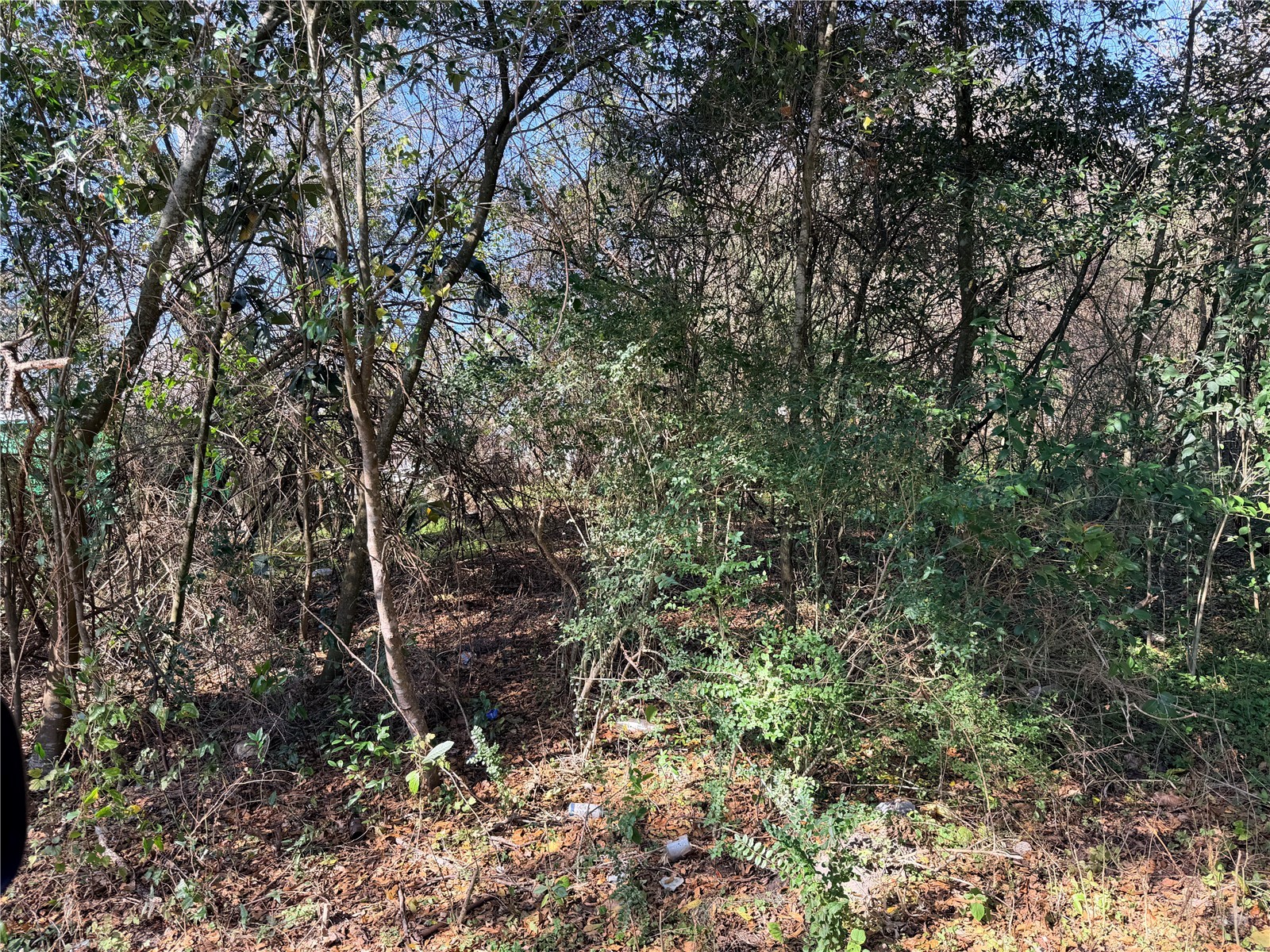 TBD NW 151st Avenue Alachua FL 32615 GC537839 image1