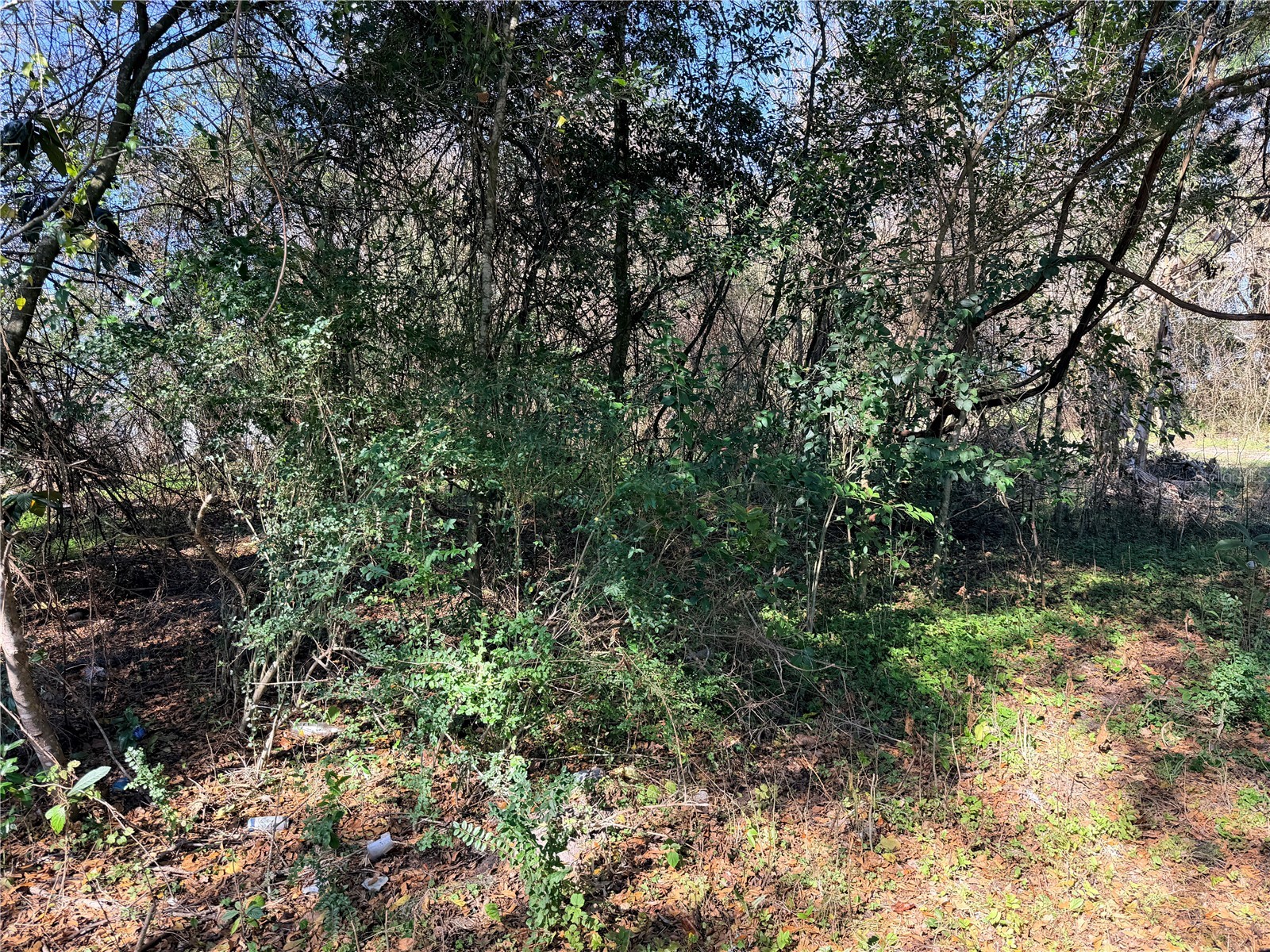 TBD NW 151st Avenue Alachua FL 32615 GC537839 image2