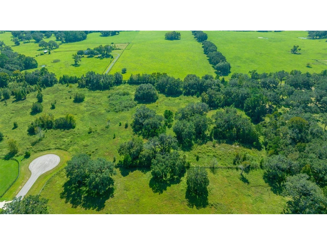 TBD NW 154th Avenue Road Morriston FL 32668 OM688572 image11