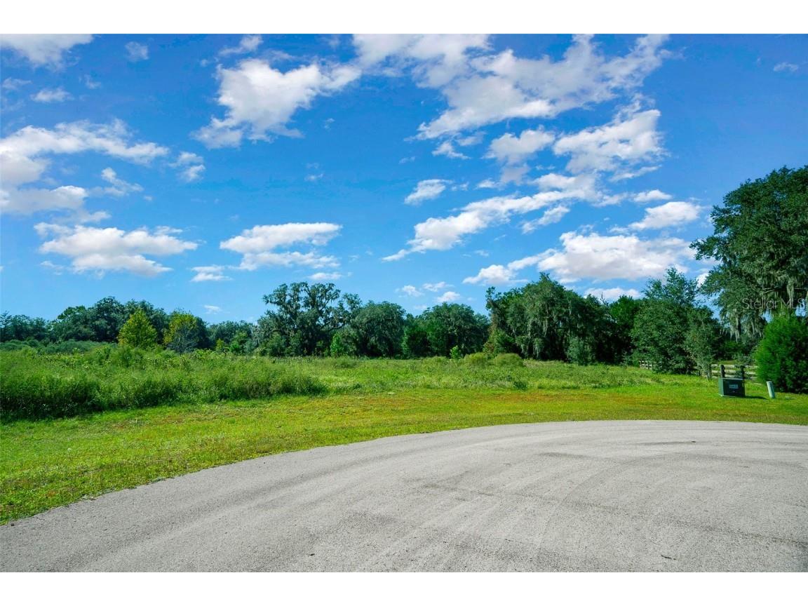 TBD NW 154th Avenue Road Morriston FL 32668 OM688572 image14