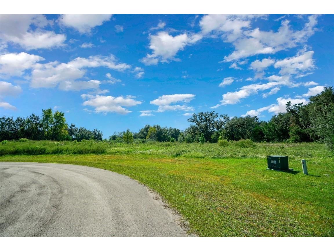 TBD NW 154th Avenue Road Morriston FL 32668 OM688572 image15