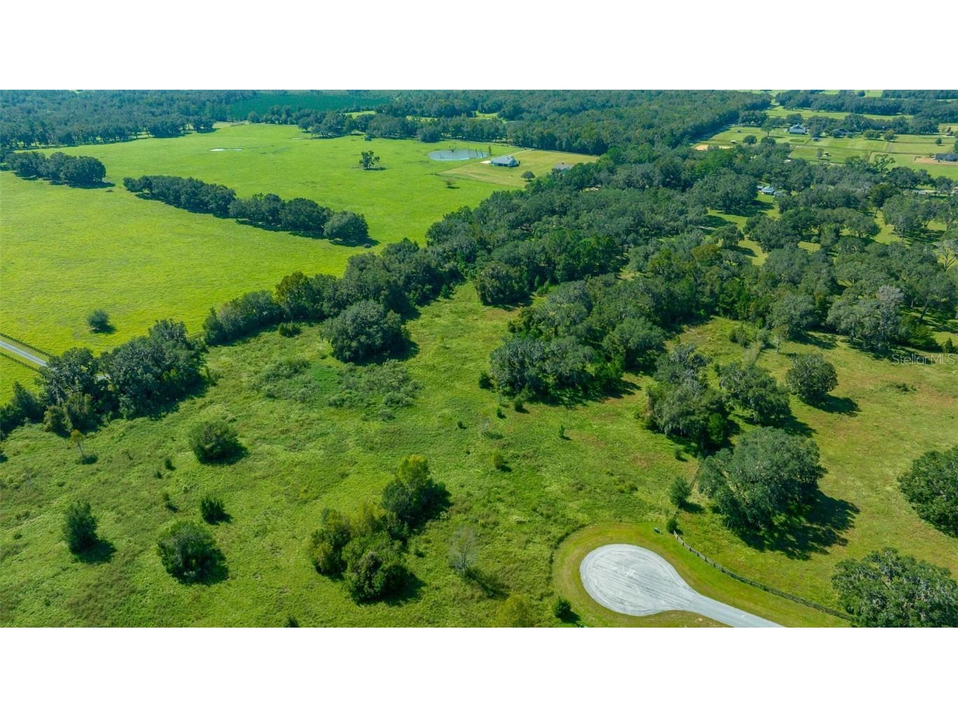 TBD NW 154th Avenue Road Morriston FL 32668 OM688572 image7