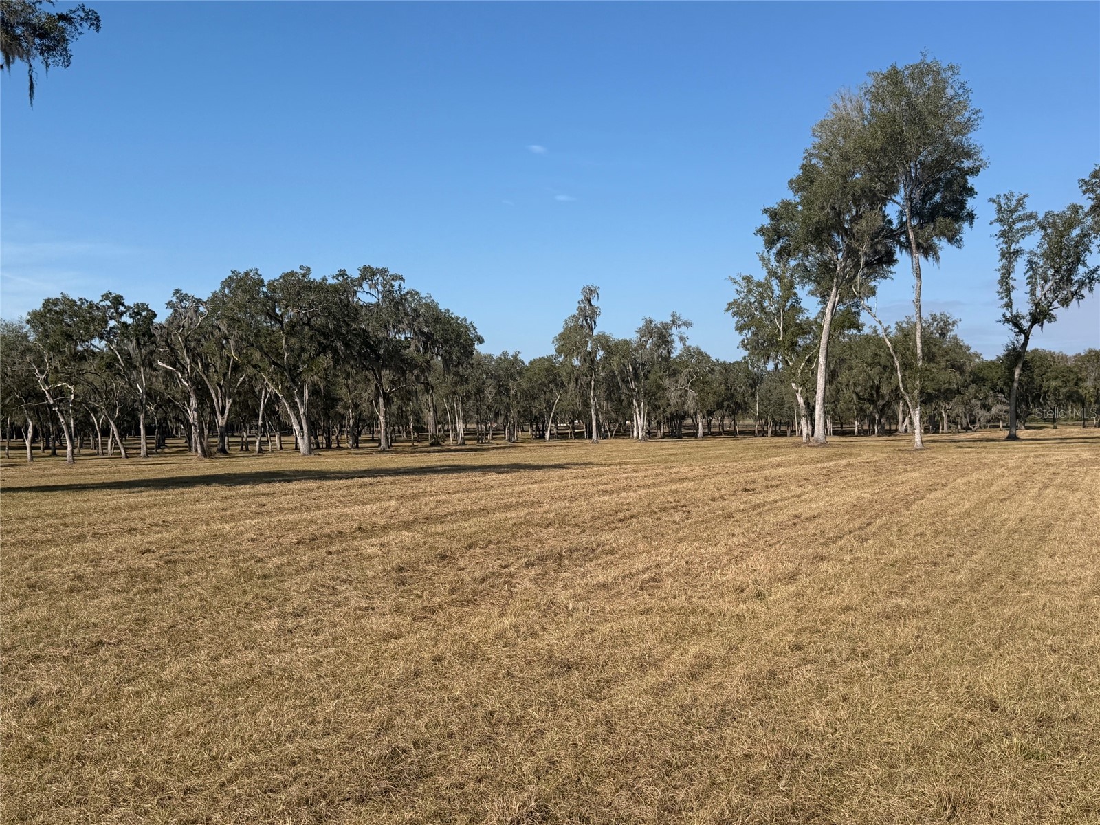 TBD Nw 160th Street Reddick FL 32686 OM691713 image8