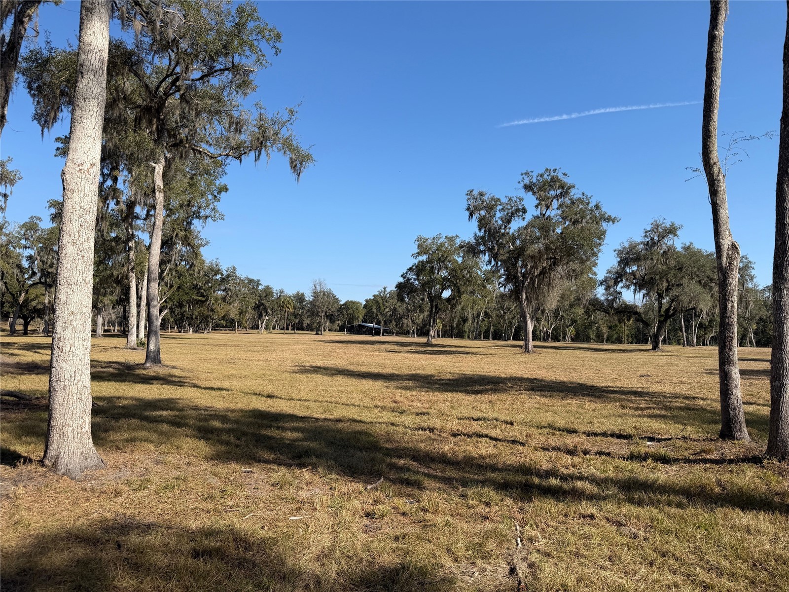 TBD Nw 160th Street Reddick FL 32686 OM691713 image9
