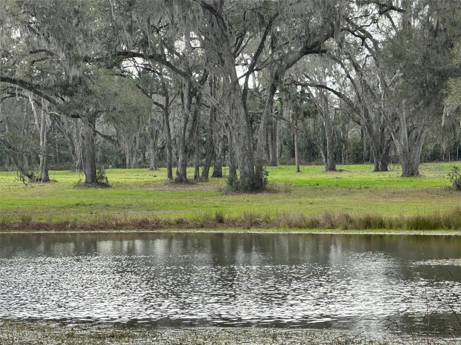 TBD Nw 160th Street Reddick FL 32686 OM716683 image2